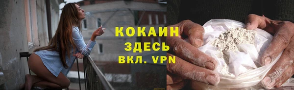 кокс Алексин
