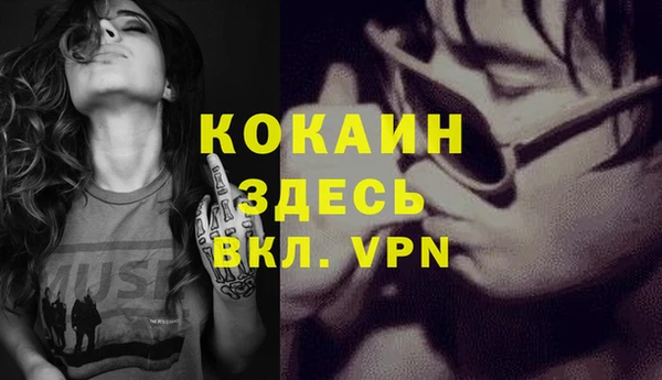 кокс Алексин