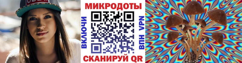 мега онион  Нытва  Галлюциногенные грибы Psilocybe 